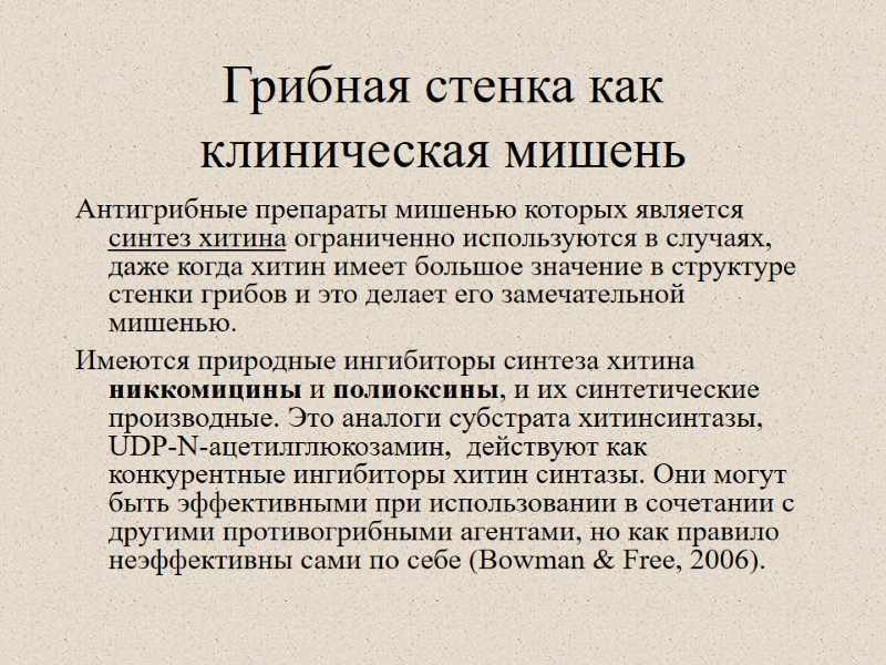 Грибная стенка как клиническая мишень  Антигрибные препараты мишенью которых является синтез хитина ограниченно